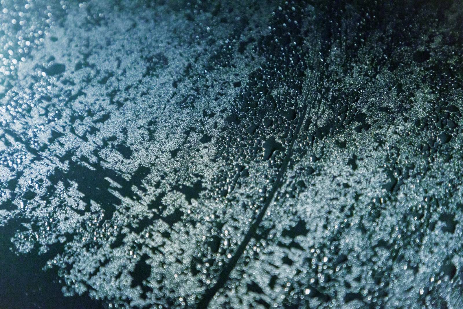 High Tide Foam